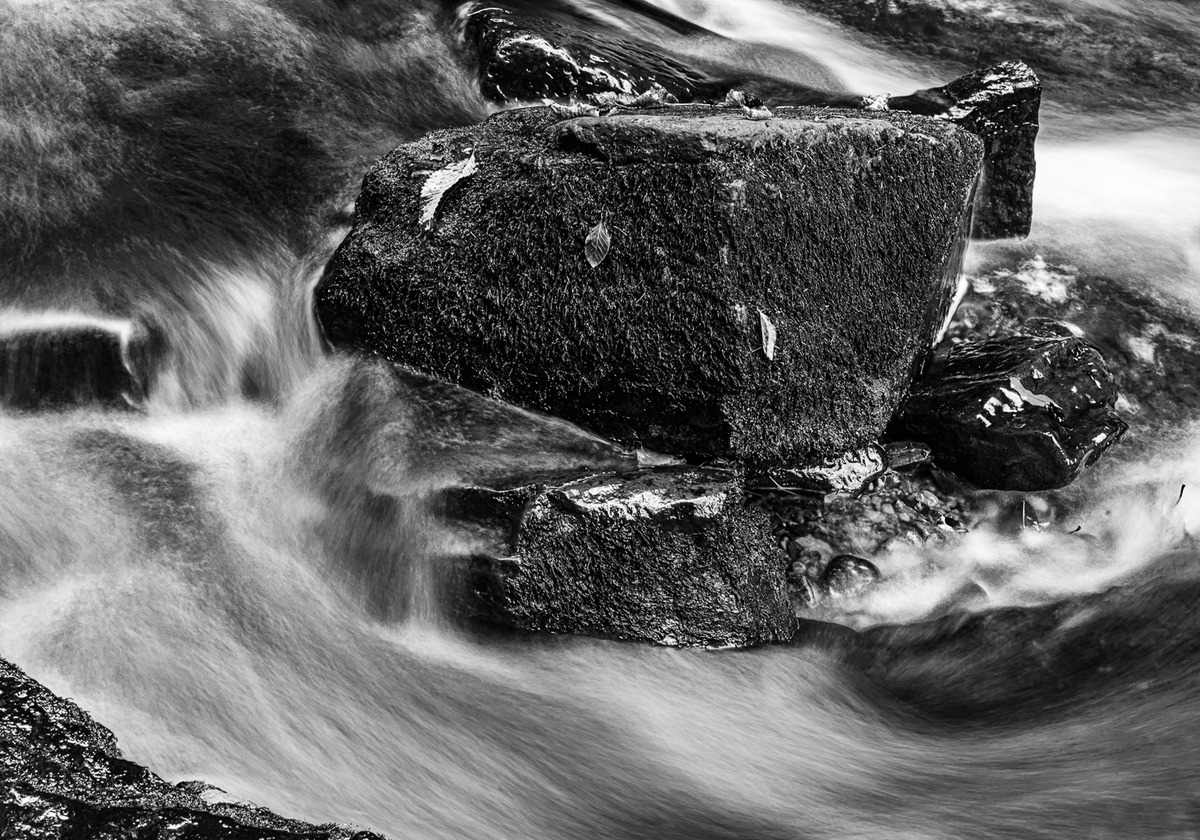 Cotter Force, Steve Parrish